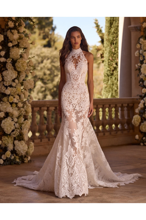 CERES Alberto Palatchi