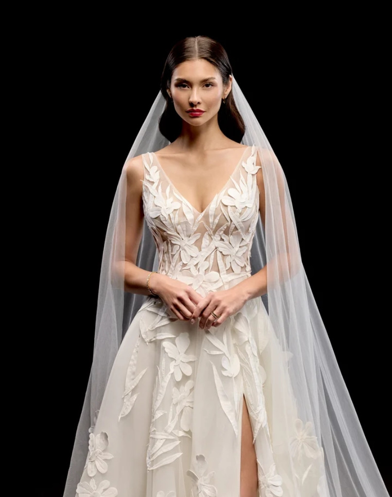 JUSTIN ALEXANDER SIGNATURE